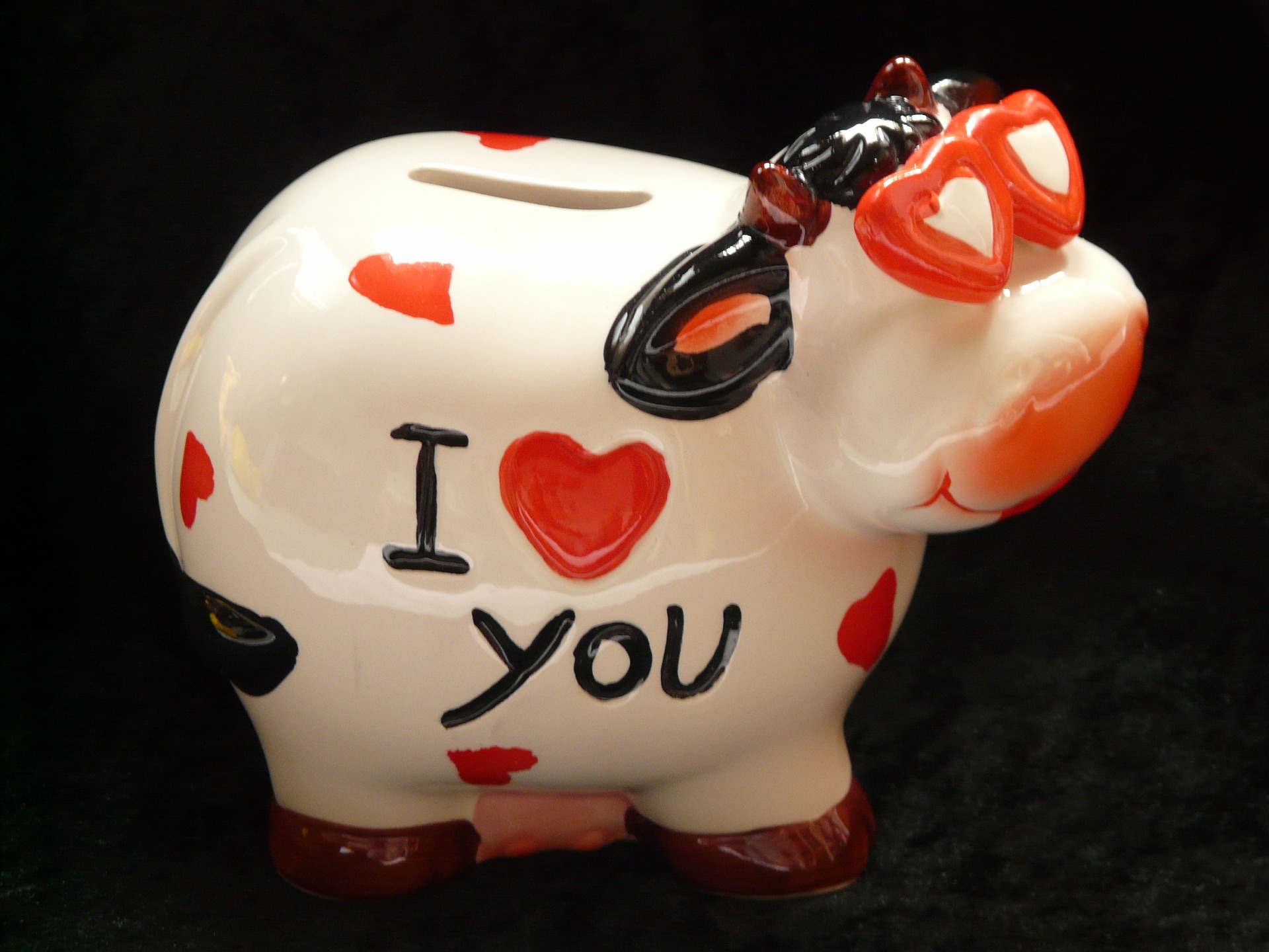 Life insurance Piggy Bank for estate planning.